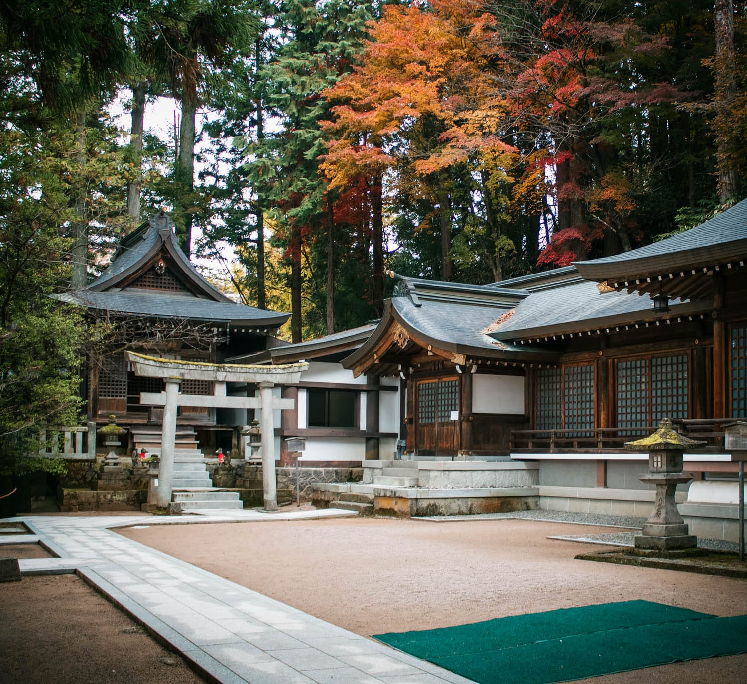 Qué ver en los Alpes Japoneses