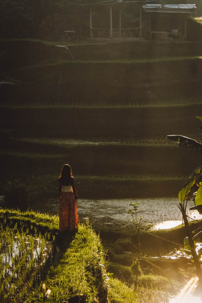 15 Imprescindibles que ver en Ubud