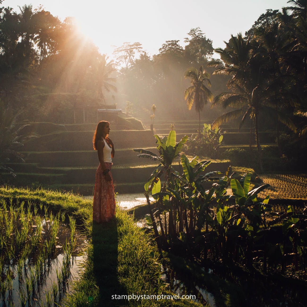 Arrozales de Tegallalang en la Ruta de Indonesia
