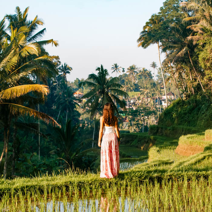 Indonesia Bali 15 días Arrozales