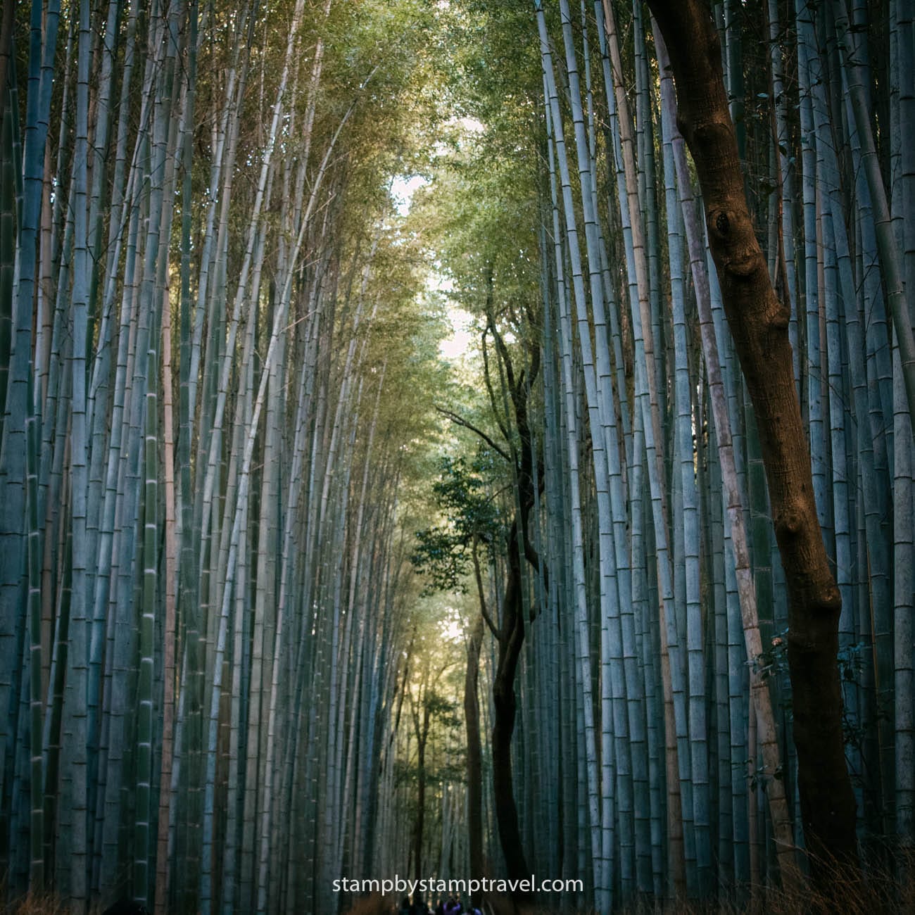 Arashiyama, otro barrio donde alojarse en Kioto
