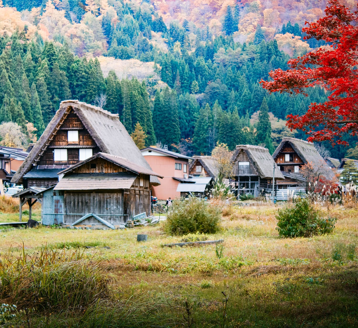 Qué ver en Shirakawago