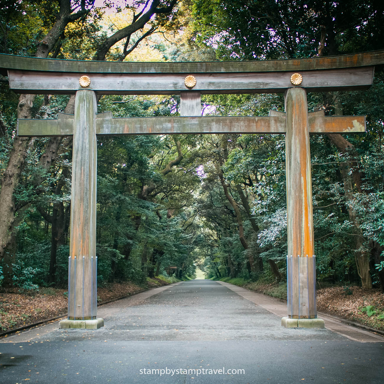 Meiji Jungu que ver en Harajuku