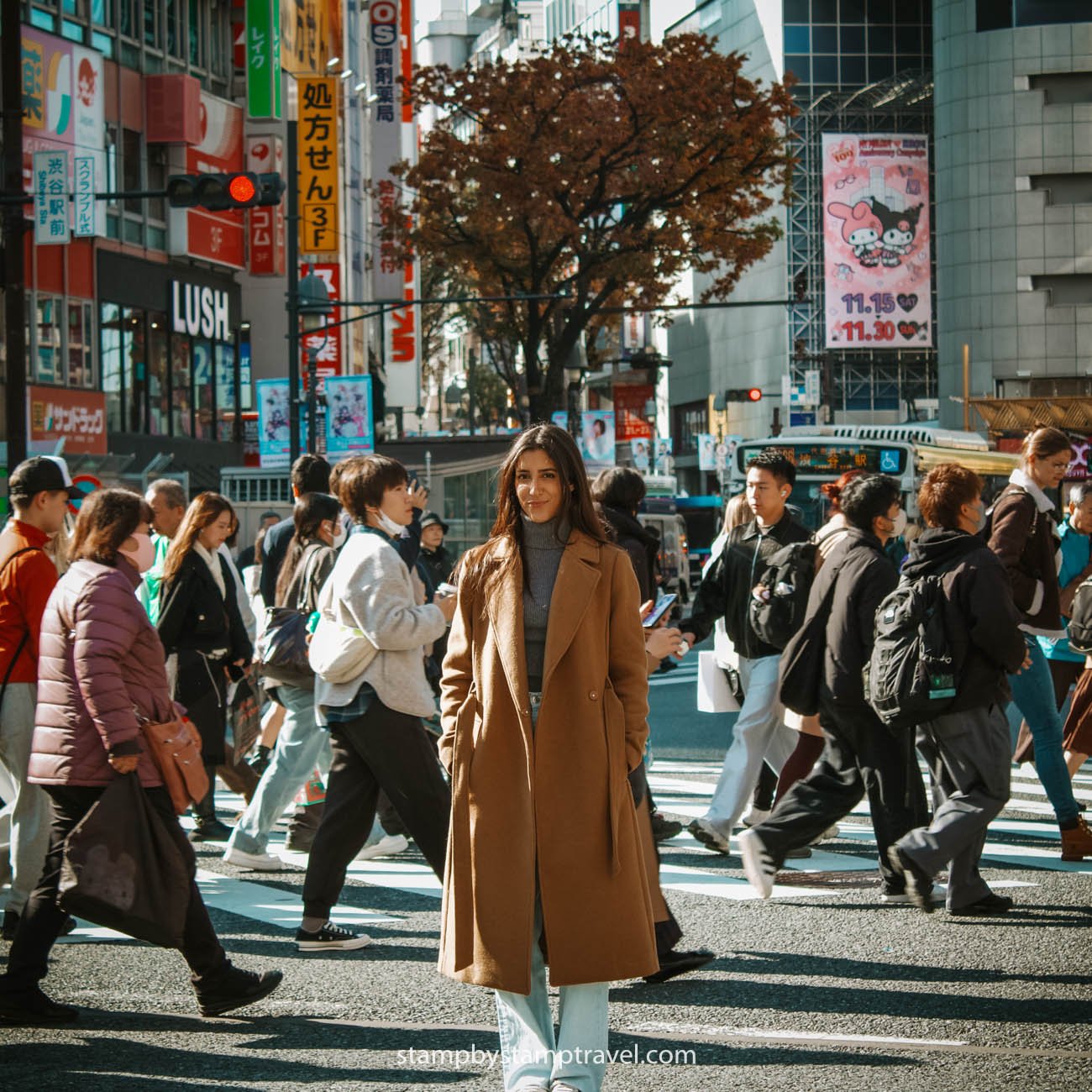 Multitudes cuando haces turismo en Tokio