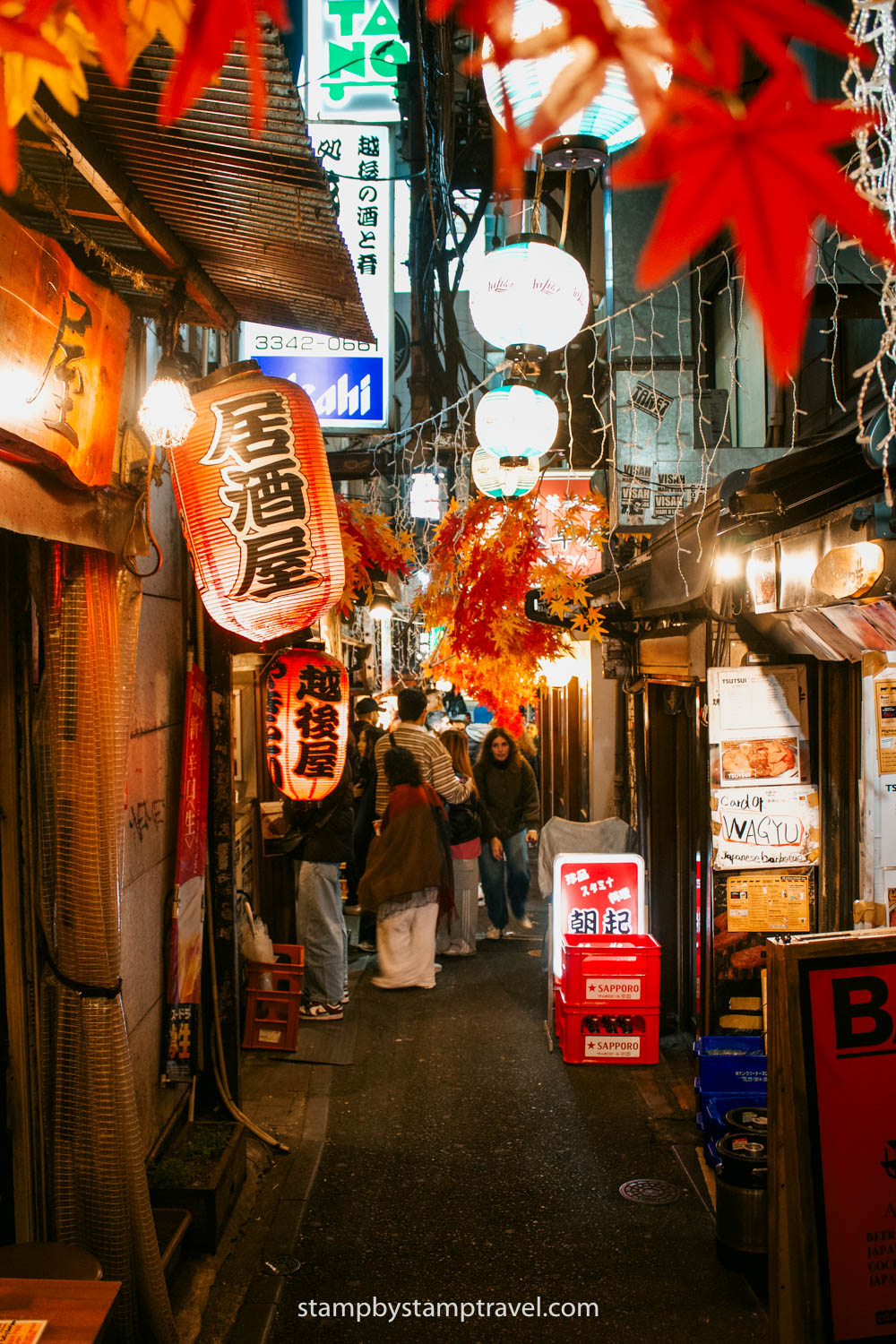 Omoide que ver en Tokio