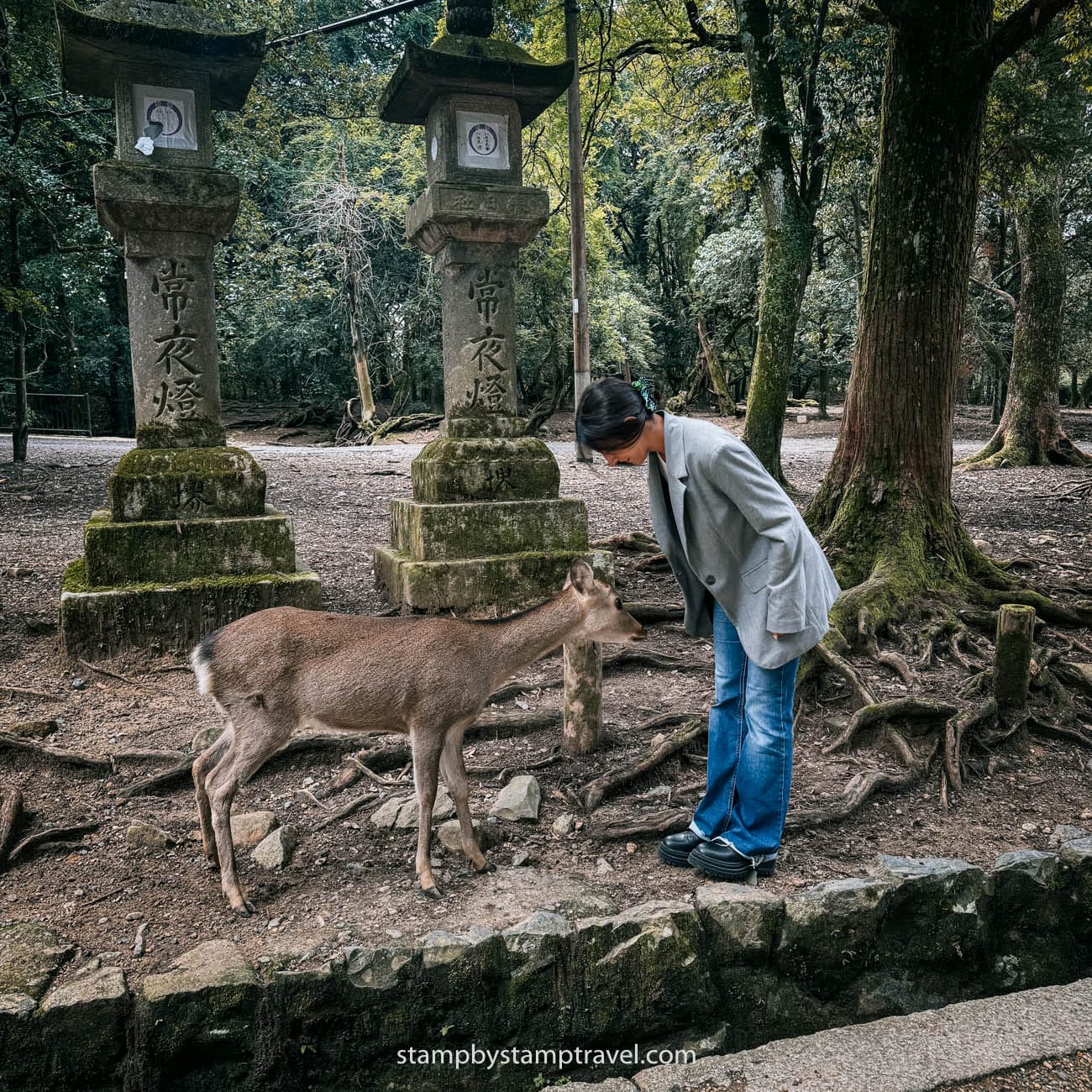 Ciervos que ver en Nara