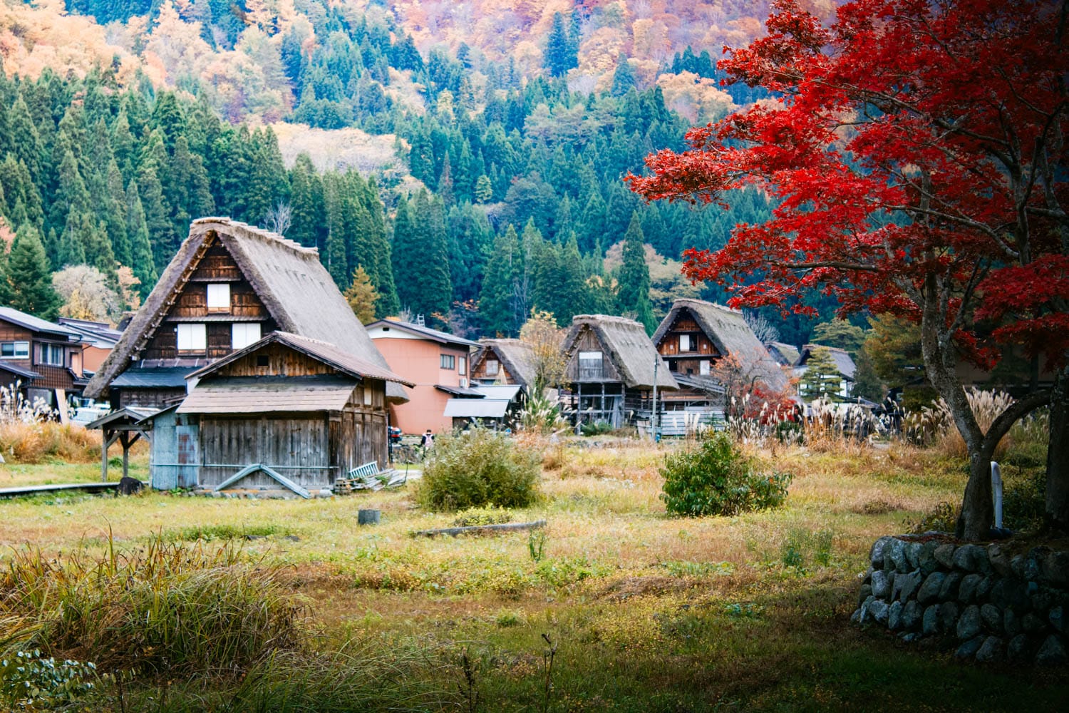Qué ver en Shirakawago