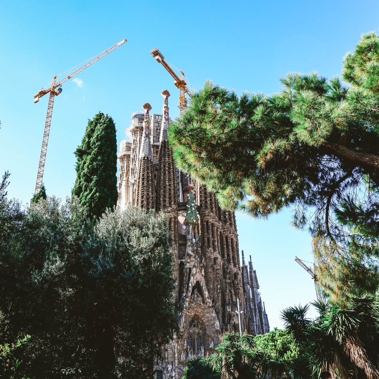Sagrada familia que ver en Barcelona