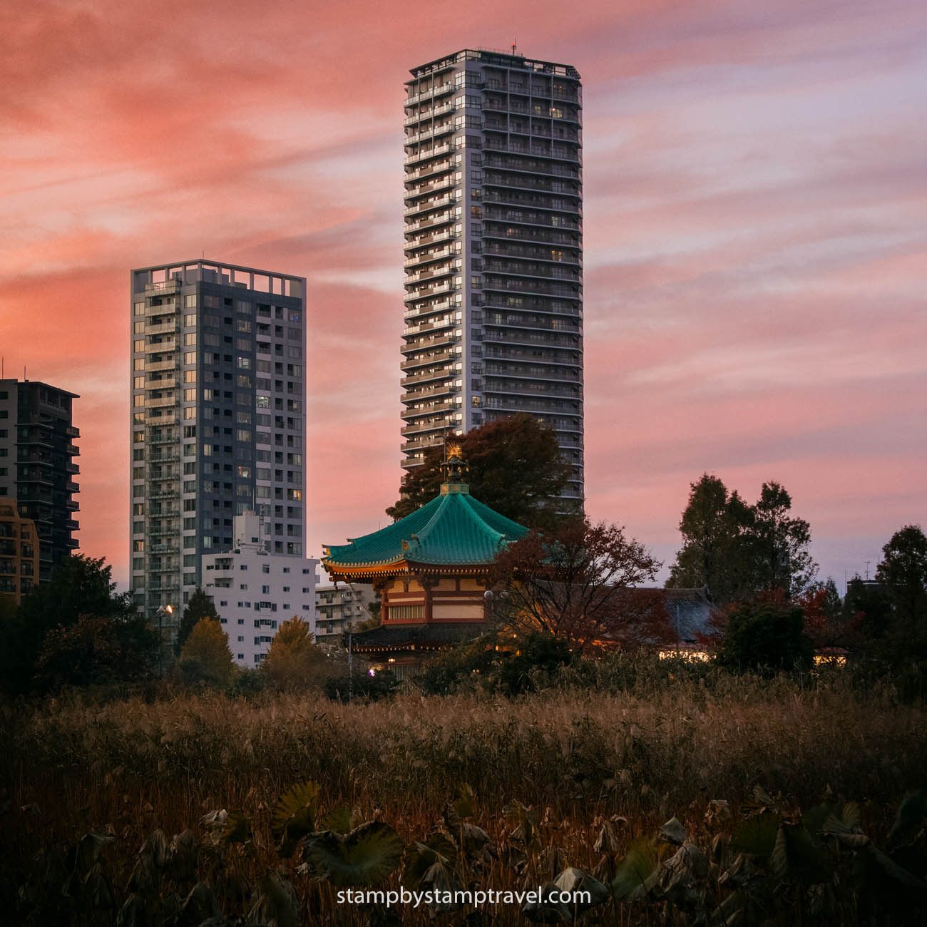 Ueno Park, que ver en Tokio