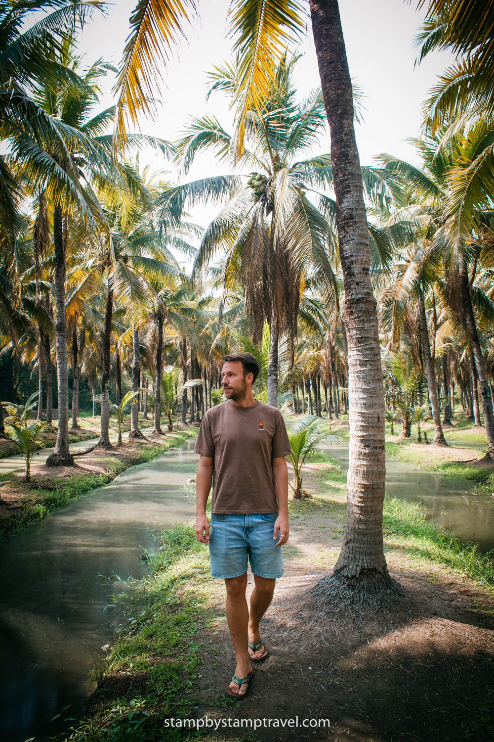 Coconut Market que ver en Chiang Mai