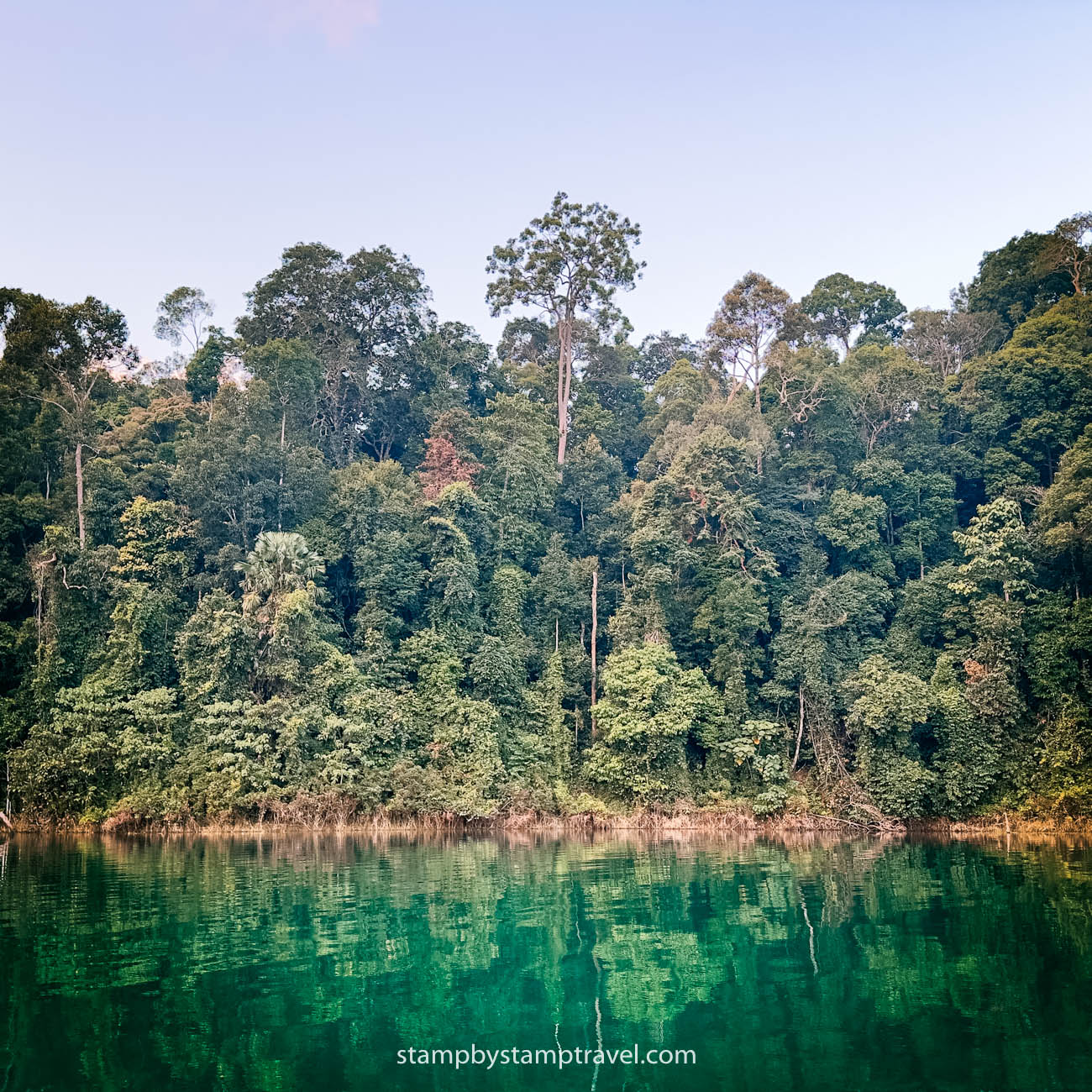 Selva del Parque Nacional de Khao Sok