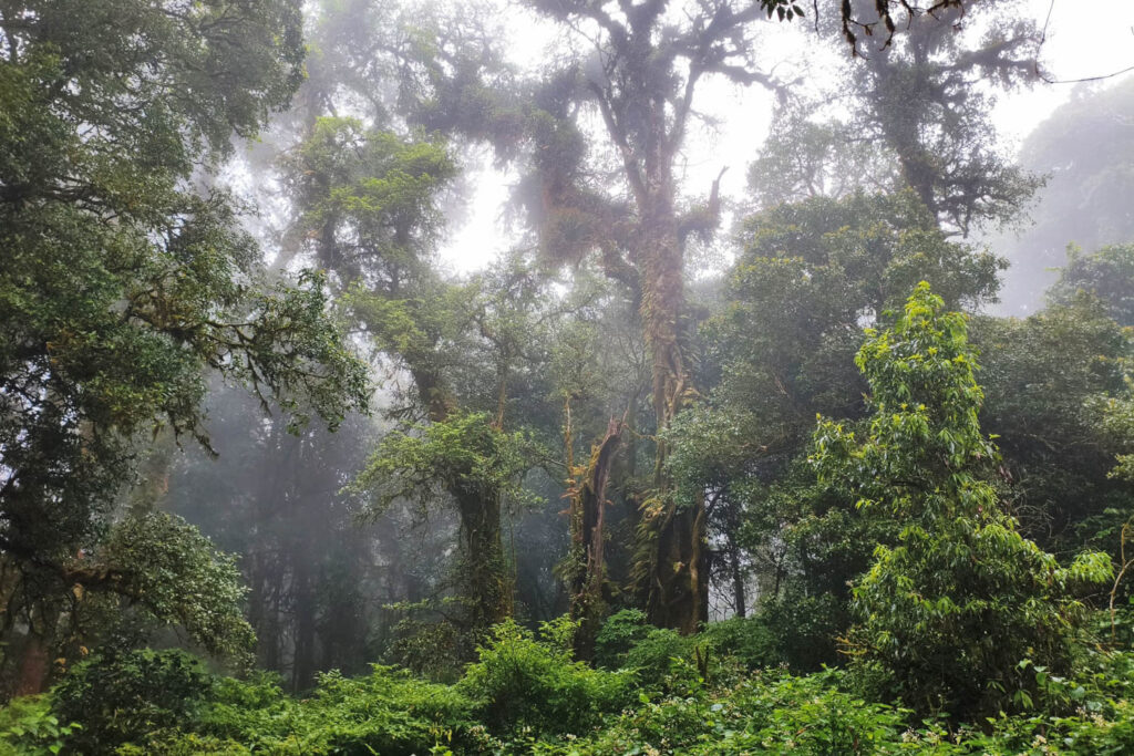 Época de lluvias en Tailandia