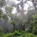 Época de lluvias en Tailandia