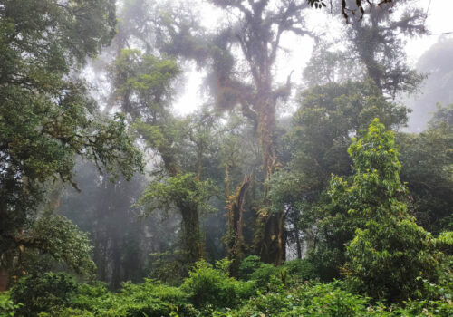 Época de lluvias en Tailandia
