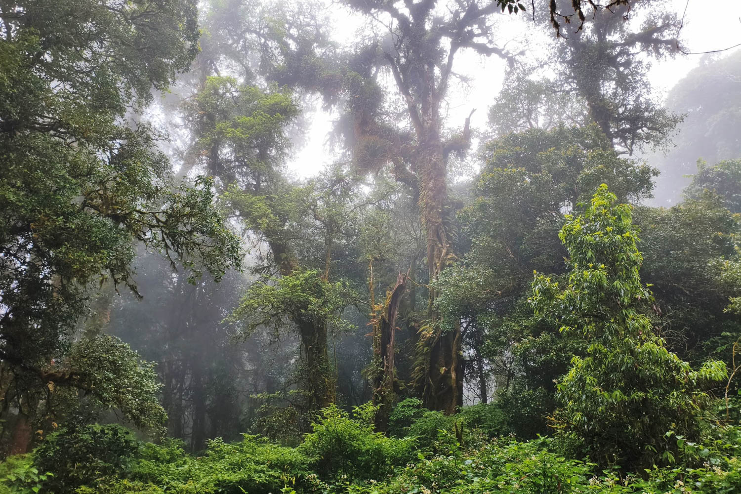 Época de lluvias en Tailandia