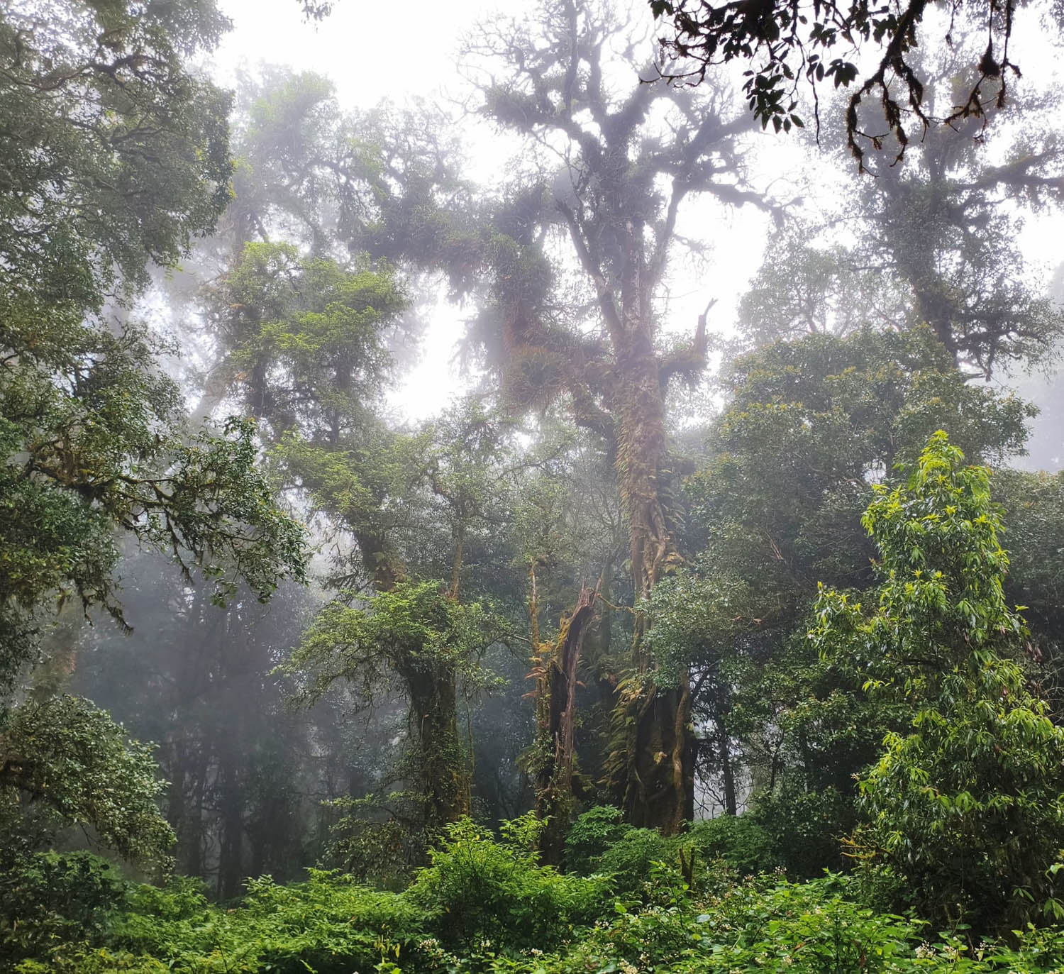 Época de lluvias en Tailandia