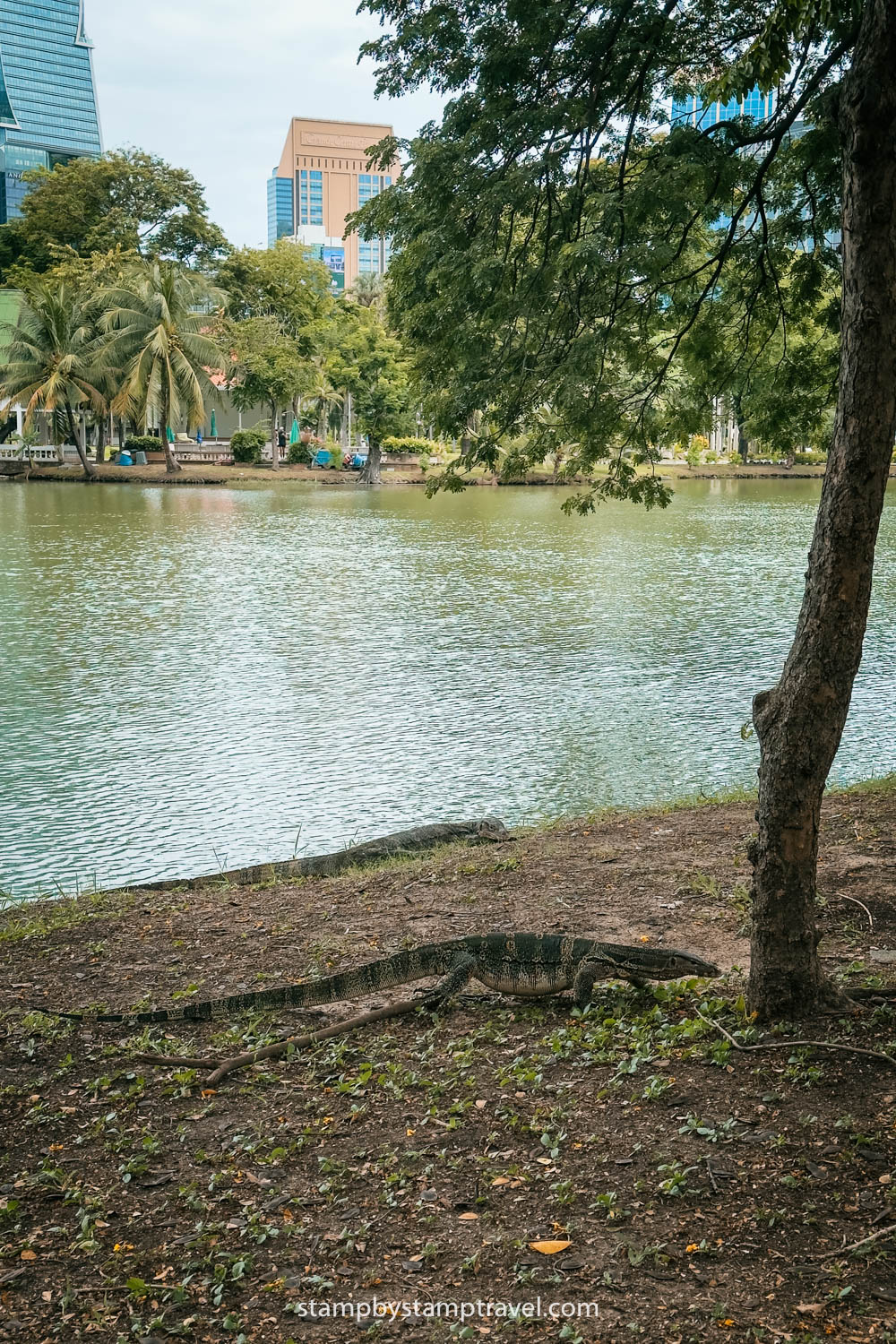 Lago en el Parque Lumpini de Bangkok