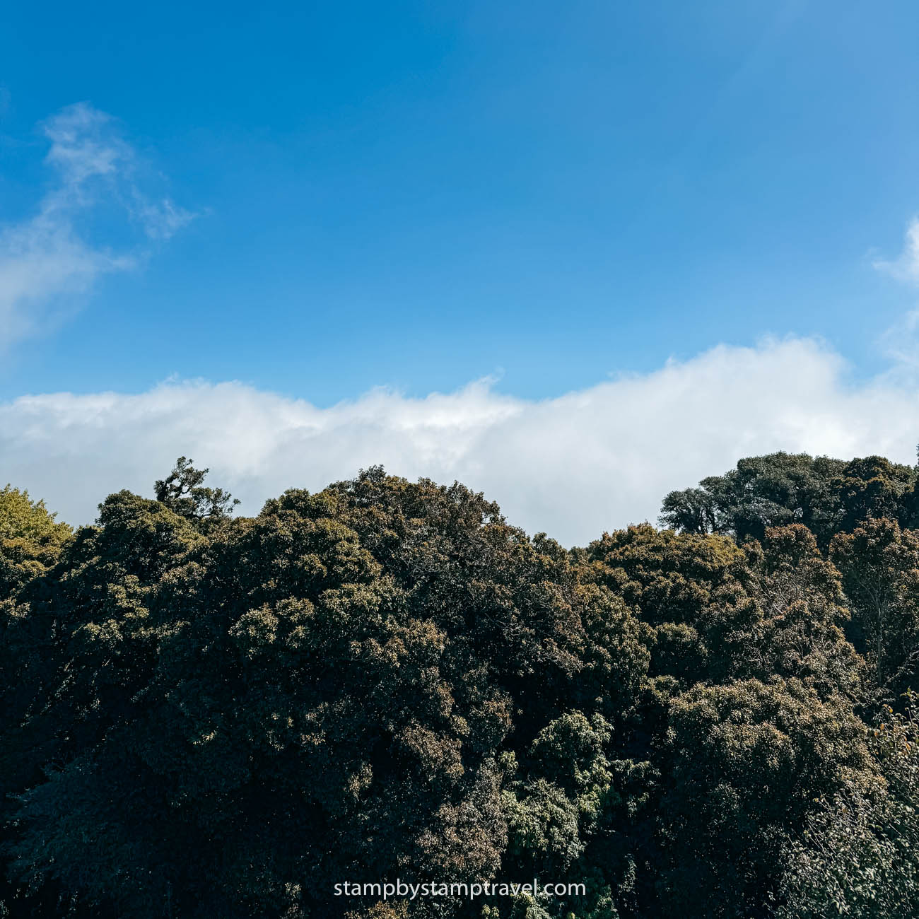 Punto alto del Doi Inthanon