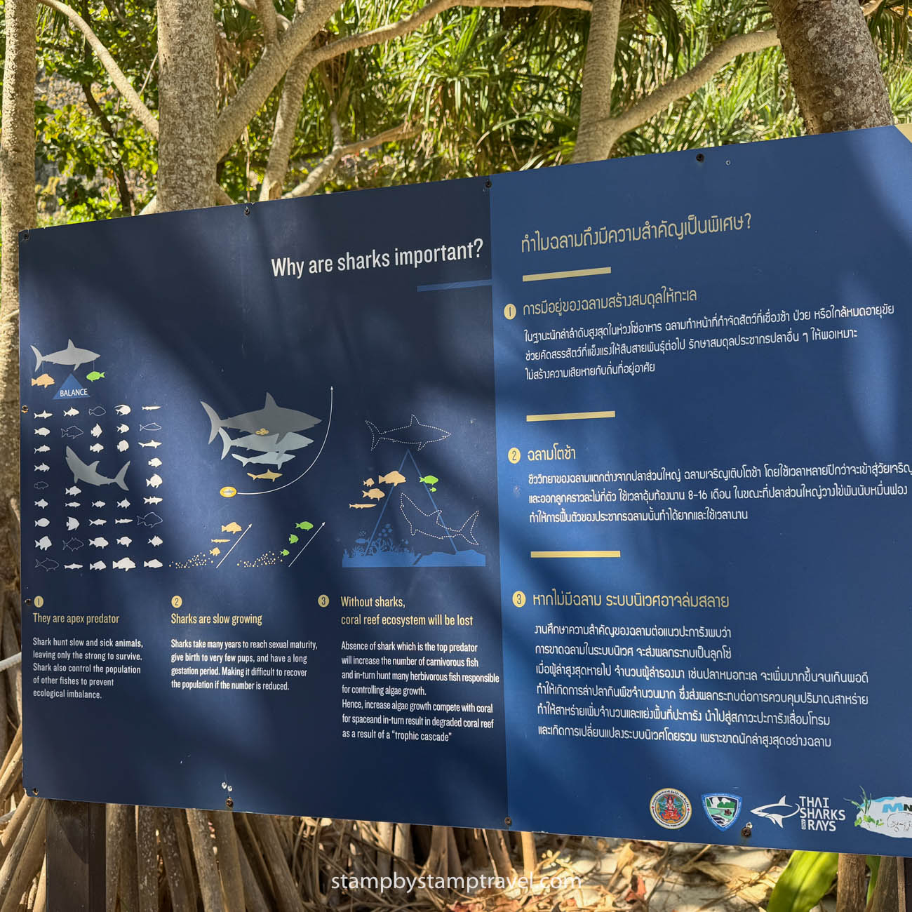 Recuperación ecológica Maya Bay Tailandia