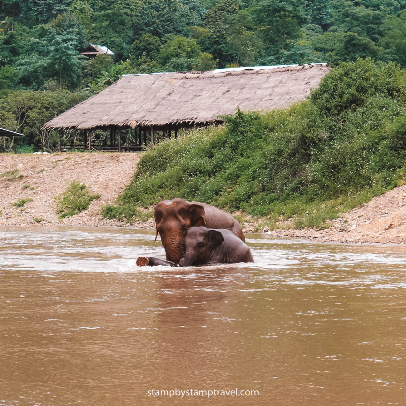 Visita un Santuario ético en el Norte de Tailandia