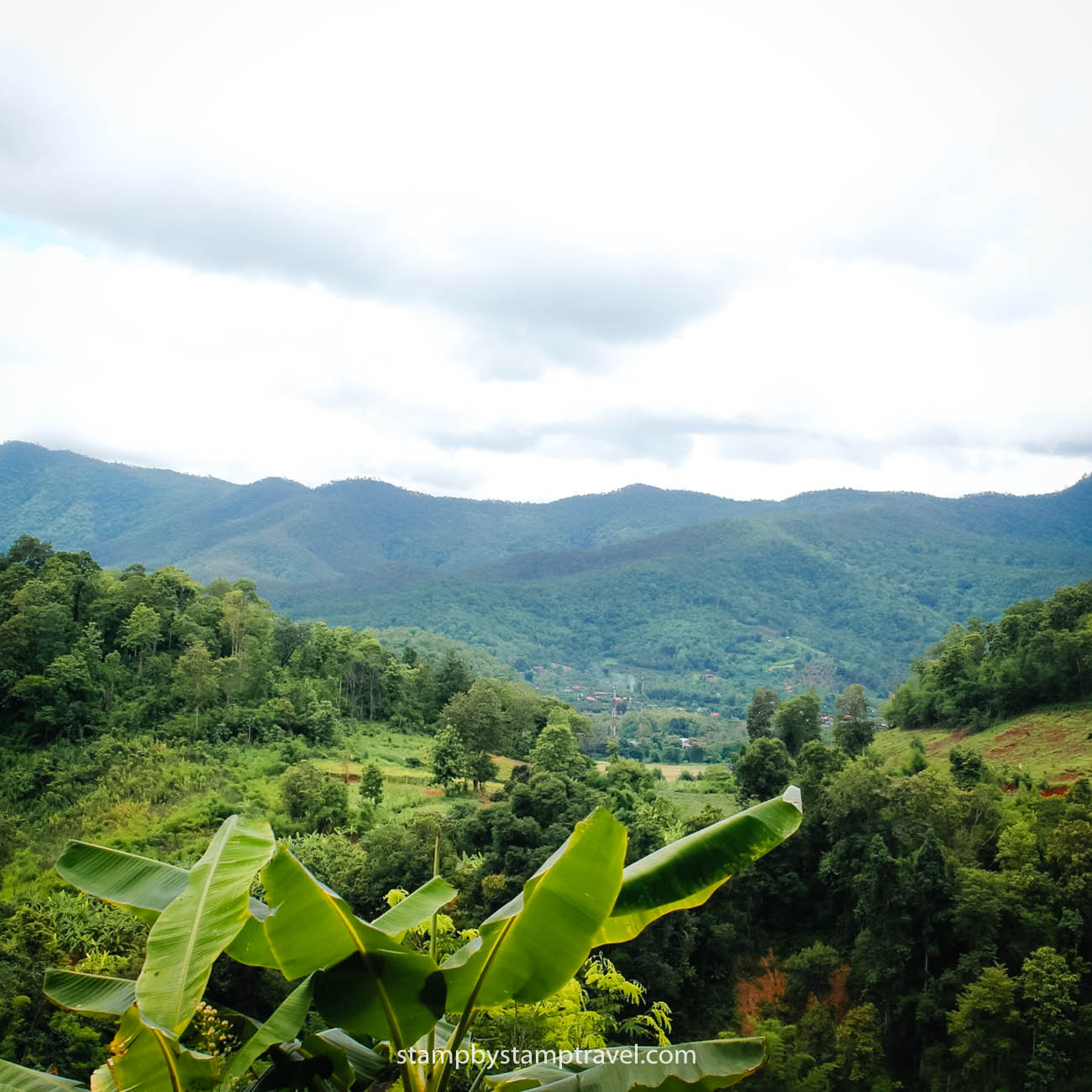 Selva durante la temporada de lluvias en Tailandia