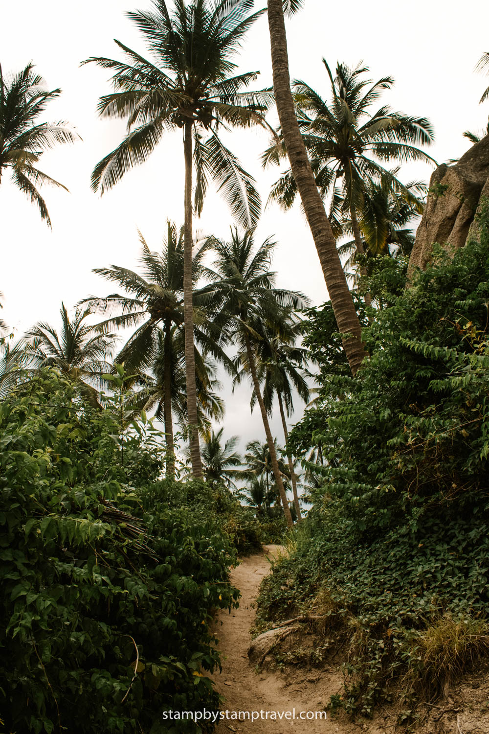 Camino a las playas de Koh Tao