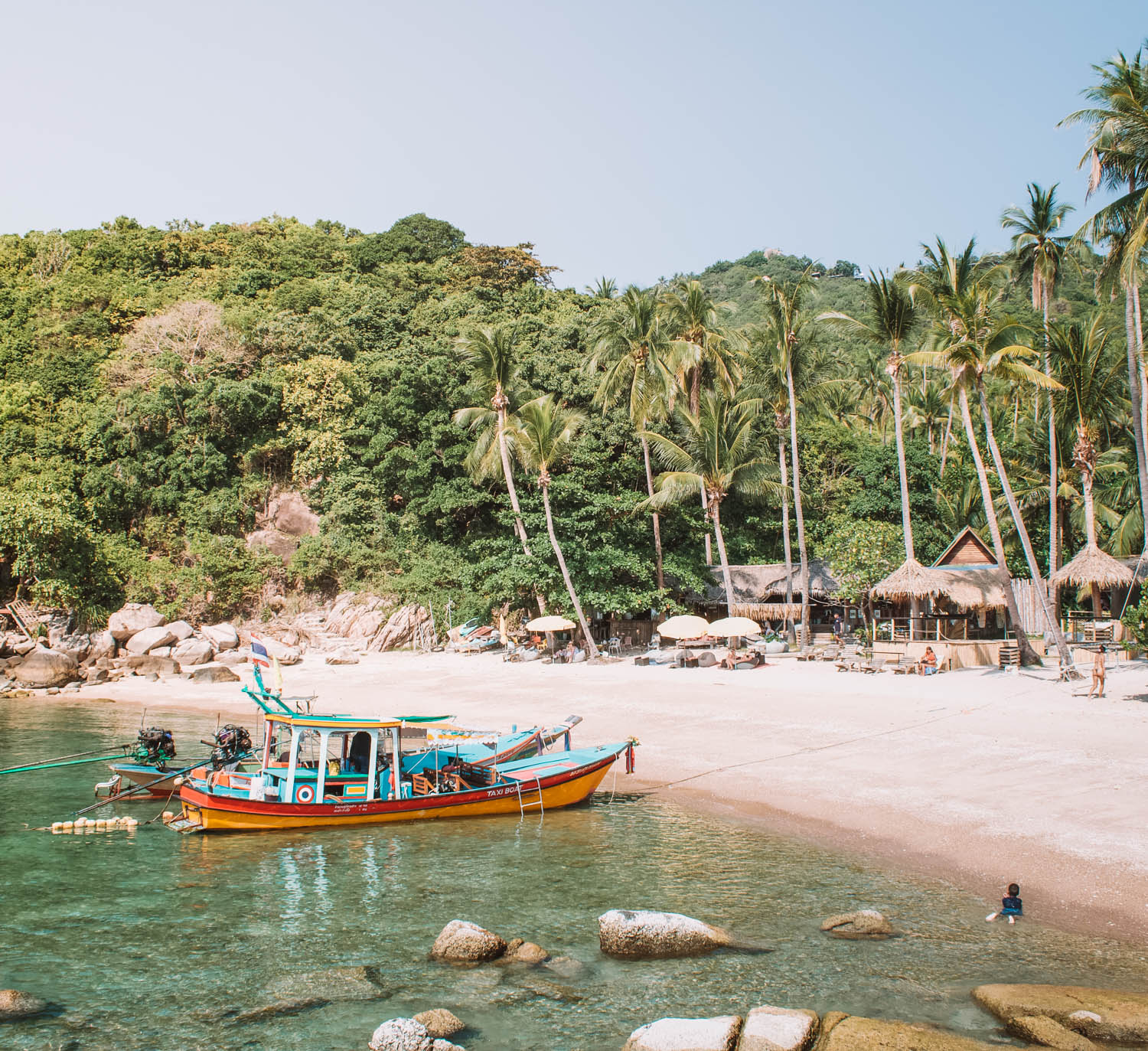 Koh Tao Isla Tortuga