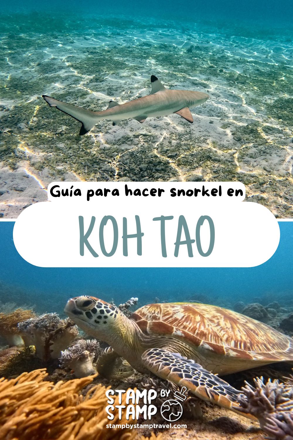 Portada Vlog Guía snorkel Koh Tao